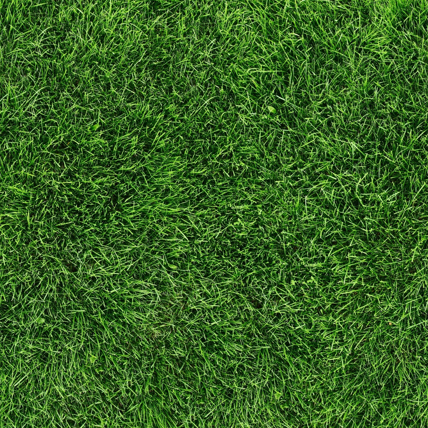 Grass - Adhesive Vinyl Sheets