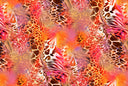 Orange You Fabulous  -Adhesive Vinyl Wrap