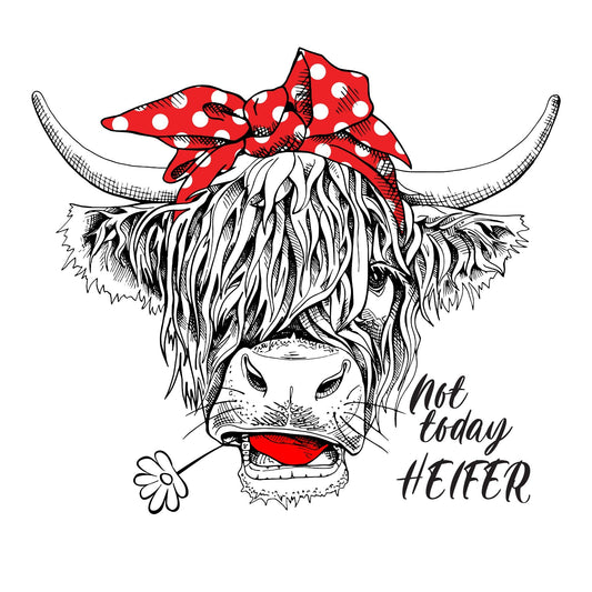 Not Today Heifer - UV DTF Decal