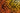 Orange Ombre Tiger - Adhesive Vinyl Wrap