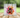 Color Splash Voodoo Dolls - Adhesive Vinyl Wrap - 6 Variants