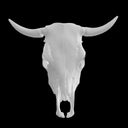 Bull Skull - Tumbler element