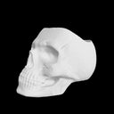 Skull - Mini Tumbler Sleeve