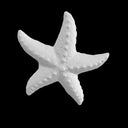 Starfish - Tumbler Elements