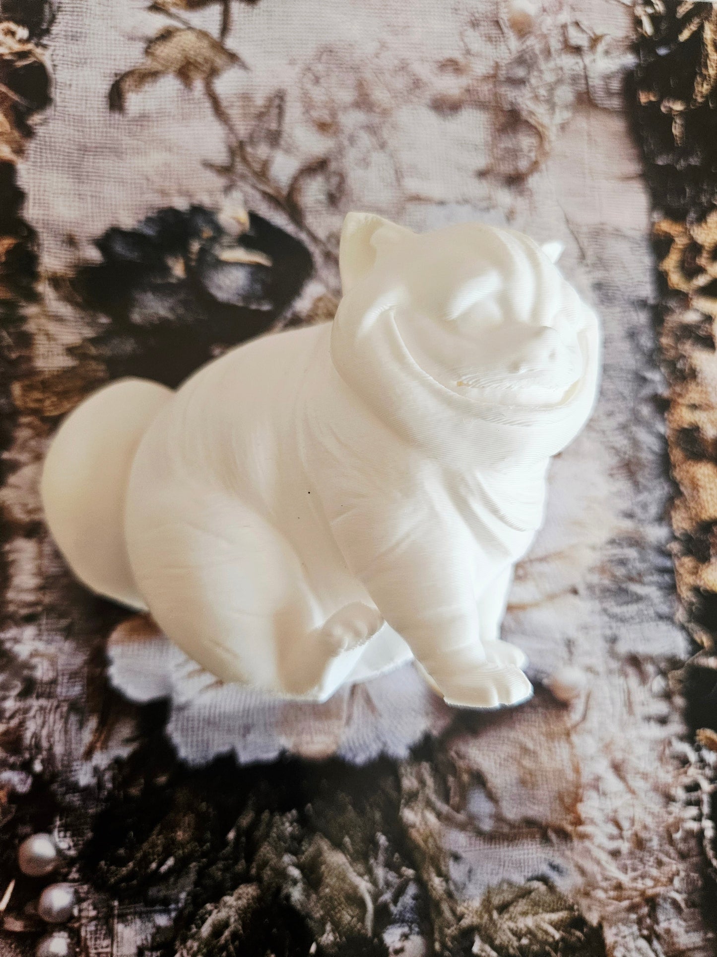 Wonderland Limited Edition Box