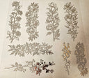 #41 Metallic UV DTF- Floral- available in Gold, Silver