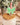 Little Debbie Tree Bow - Straw Topper (In color)