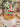 Holiday Hoobie whatty - Straw topper (In Color)
