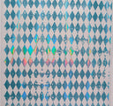 #81 Holographic Harlequin 7 Colors