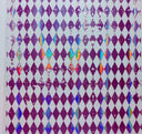 #81 Holographic Harlequin 7 Colors