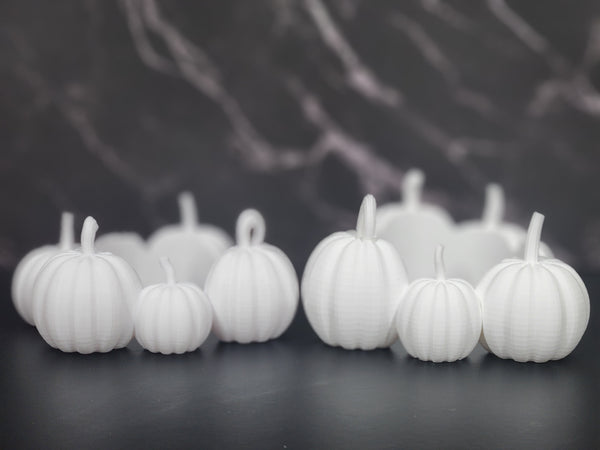 Pumpkin Patch Border- Tumbler Element