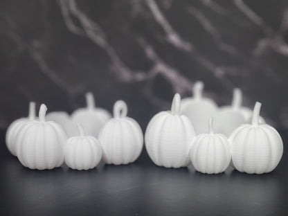 Pumpkin Patch Boarder- Tumbler Element