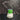 TMNT - Mini Tumbler Sleeve