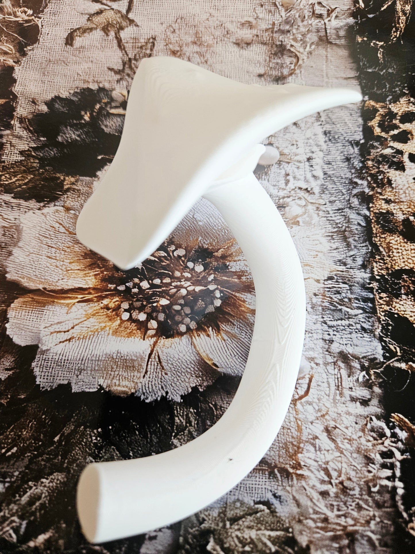 Wonderland Limited Edition Box