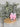 Bunny Bow - Straw topper (In Color)