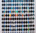#81 Holographic Harlequin 7 Colors