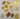 #31 Metallic UV DTF-Tropical Leaves- available in Gold and Holo Green