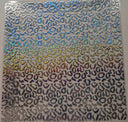 #109 Leopard Sand Holographic