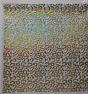 #109 Leopard Sand Holographic