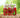 'Tis The Season - Adhesive Vinyl Wrap