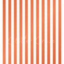 Black or white stripes - Adhesive Vinyl Wrap 12x12 Sheets - various colors